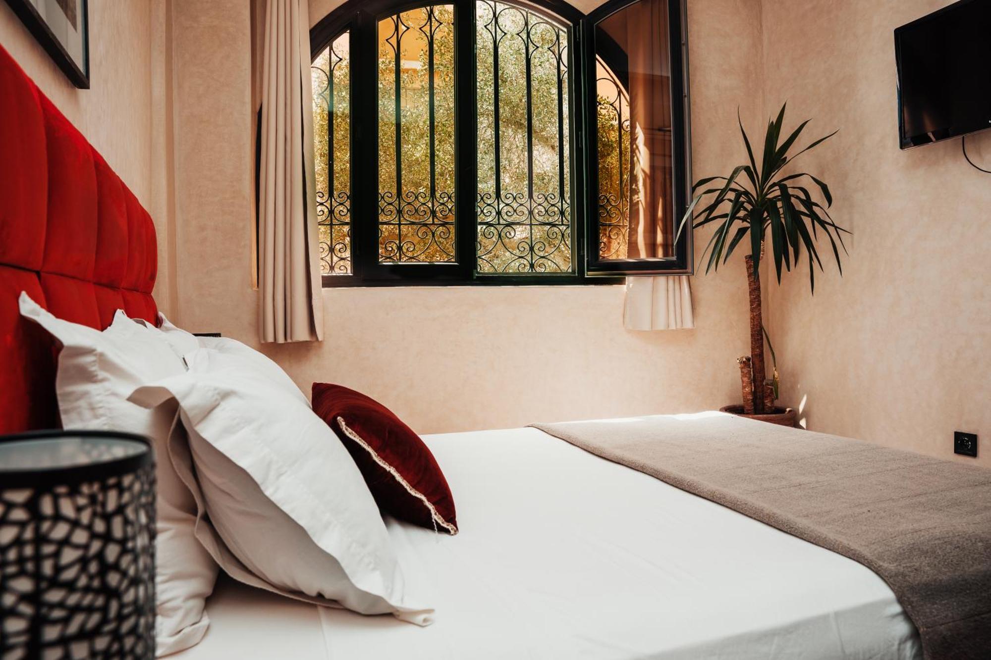 Auberge Riad Dlim Tamraght Kültér fotó